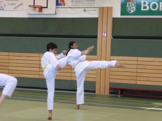 Passage-de-grade-adultes-juillet-2015-03