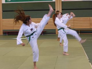Passage-de-grade-adultes-juillet-2015-05