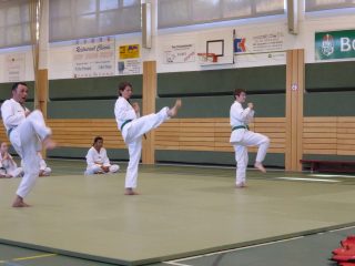 Passage-de-grade-adultes-juillet-2015-06