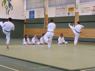 Passage-de-grade-adultes-juillet-2015-07
