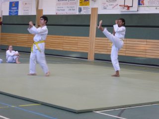 Passage-de-grade-adultes-juillet-2015-11