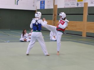 Passage-de-grade-adultes-juillet-2015-16