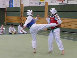 Passage-de-grade-adultes-juillet-2015-17